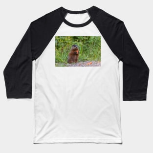 The Beaver eating a carrot Baseball T-Shirt